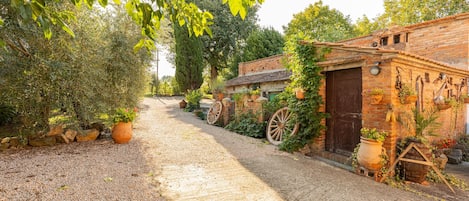 Área da propriedade