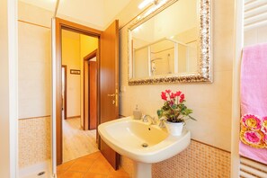 Ducha, secador de pelo y toallas