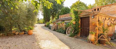 Terrein van de accommodatie