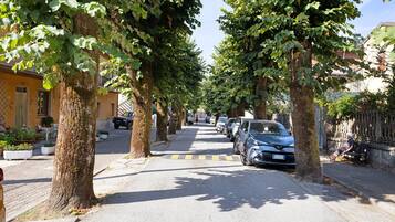 A tree-lined street with parked cars and a bench.