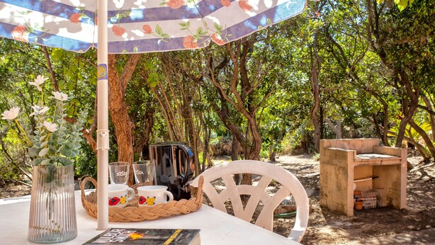 Una mesa al aire libre con un libro, un florero y una cesta.