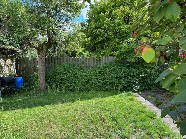 Área da propriedade