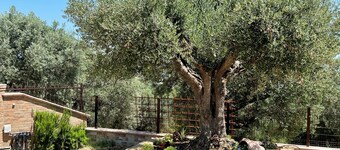 Villa Angela