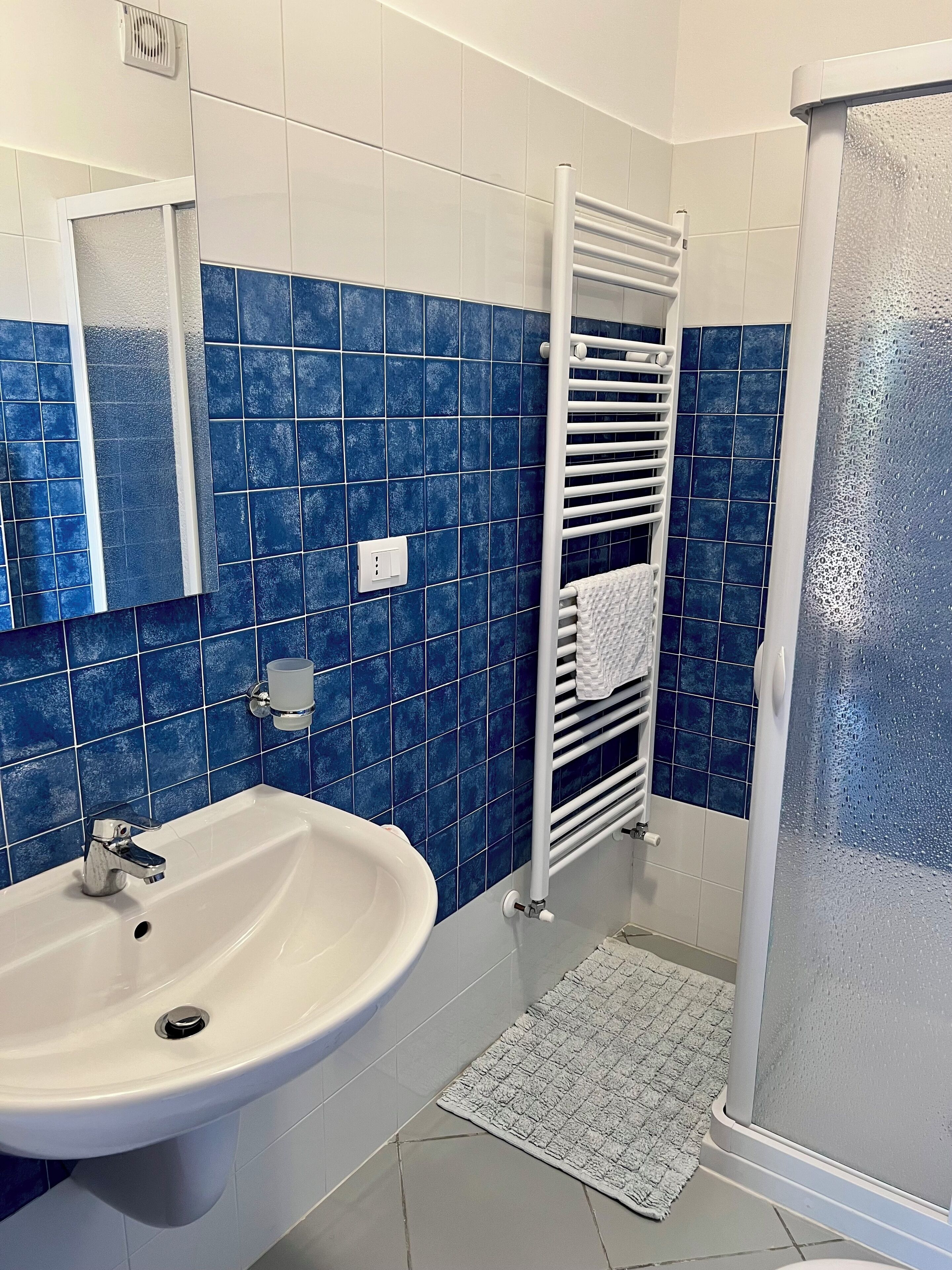 Shower, hair dryer, bidet, towels