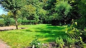 A well-maintained garden with a variety of plants and a clear sky.