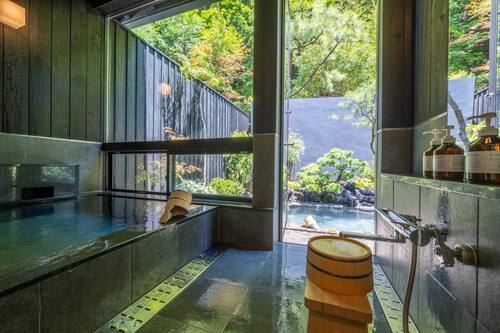 シャワー、水圧マッサージシャワー、バスアメニティ (無料)、ヘアドライヤー