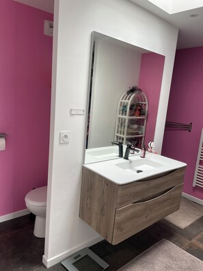 Shower, hair dryer, toilet paper - Maison Détente aux Portes du Golfe du Morbihan (Theix-Noyalo)