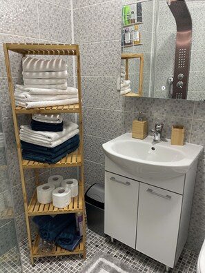 Séchoir à cheveux, serviettes fournies, papier de toilette