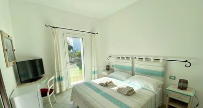 B&B Tigrillo