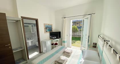 B&B Tigrillo