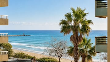A beachfront hotel with a view of the ocean, a palm tree, and a bike path.