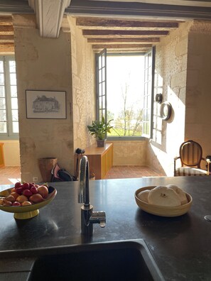 Fridge, microwave, electric kettle - Château de Meauce (Saincaize-Meauce)