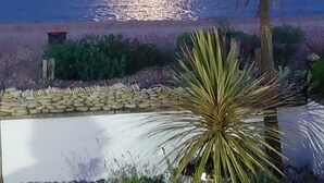 Un paysage côtier avec un palmier et une plante de yucca au premier plan, un mur de pierre et une vue sur l’océan sous un ciel dégagé.