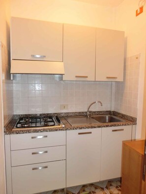 Fridge, microwave, stovetop, cookware/dishes/utensils