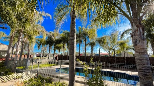 A pool area surrounded by palm trees and a fence, with a clear blue sky in the background. - Seven Inn (Gumly Gumly)