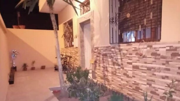 Un patio con pared de piedra, plantas en macetas y un pequeño árbol.