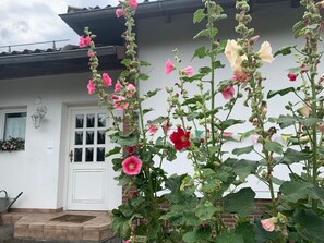 Exterior detail - Vacation home Sleeping Beauty (Osterode am Harz)