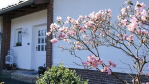 Ein Haus mit Ziegelverkleidung und einer weißen Tür.