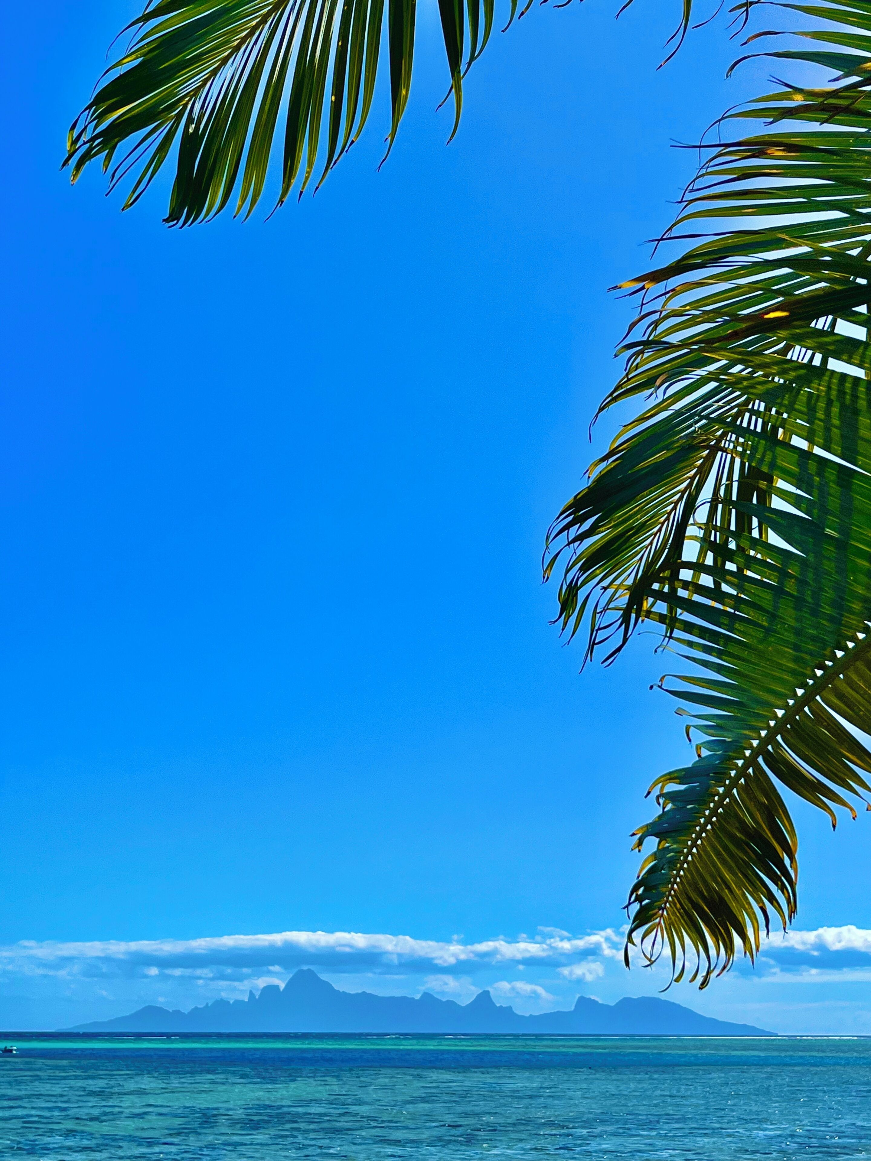 A clear blue sky and calm sea with a mountain range in the distance.