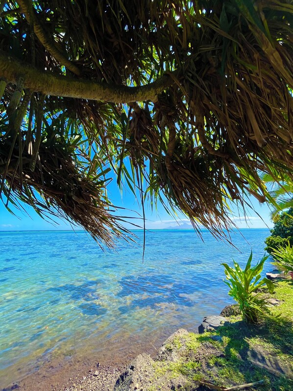 Playa en los alrededores