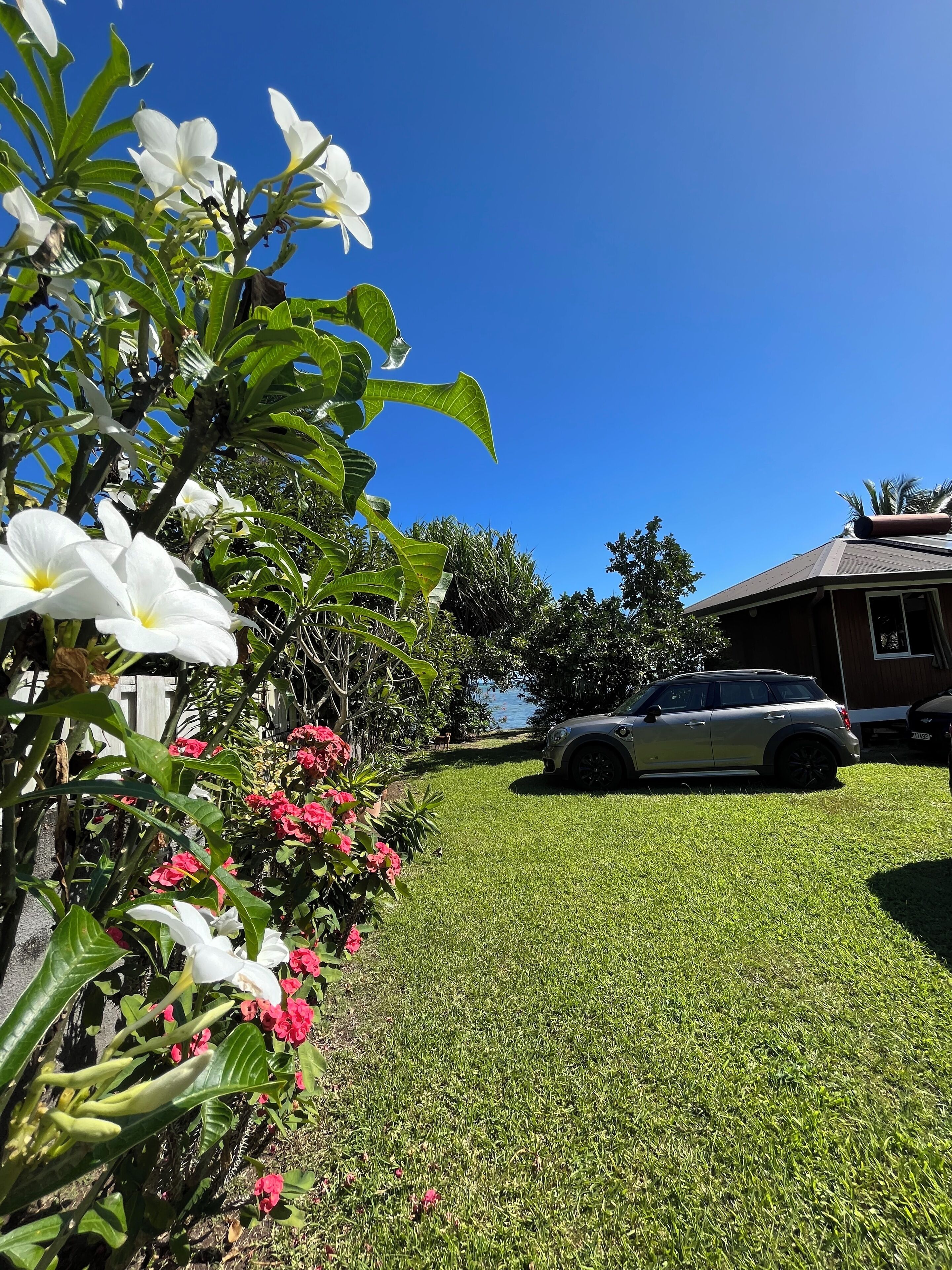 Une pelouse bien entretenue, avec une voiture garée et une maison en arrière-plan.