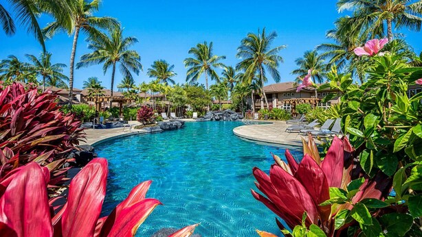 Une piscine de complexe hôtelier bordée de palmiers et de plantes tropicales.