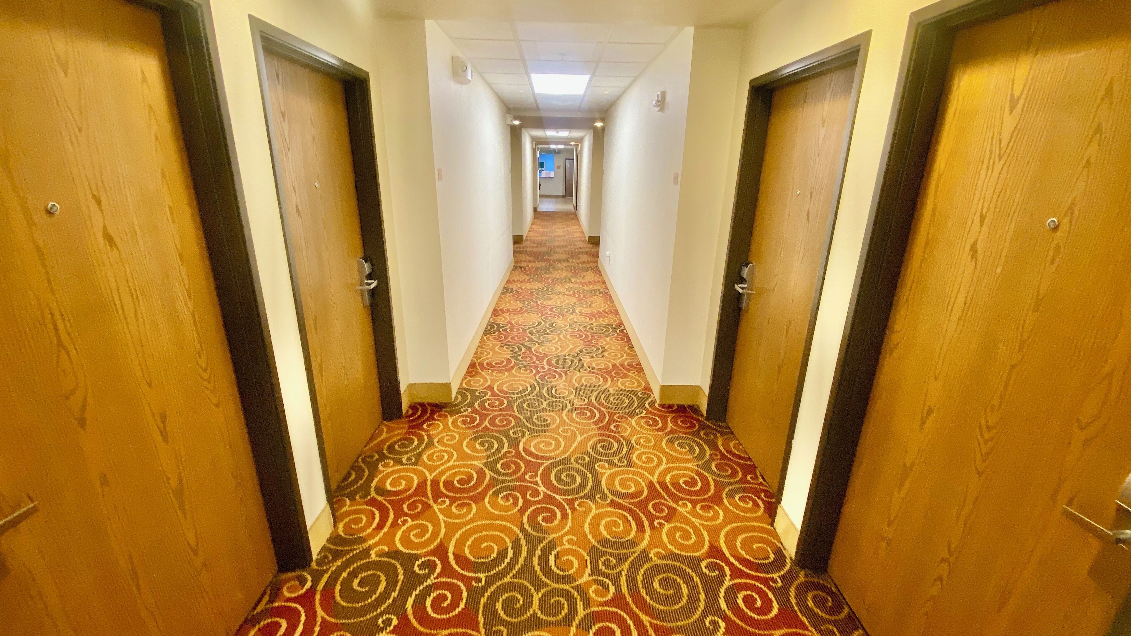 A hotel hallway with carpeted floors and wooden doors.
