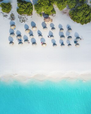 On the beach - Sip of Sunshine Condo Oceanfront in Aruba (Noord)