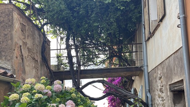 Un étroit sentier de pierre bordé d’une végétation luxuriante et un bâtiment à la façade rustique.