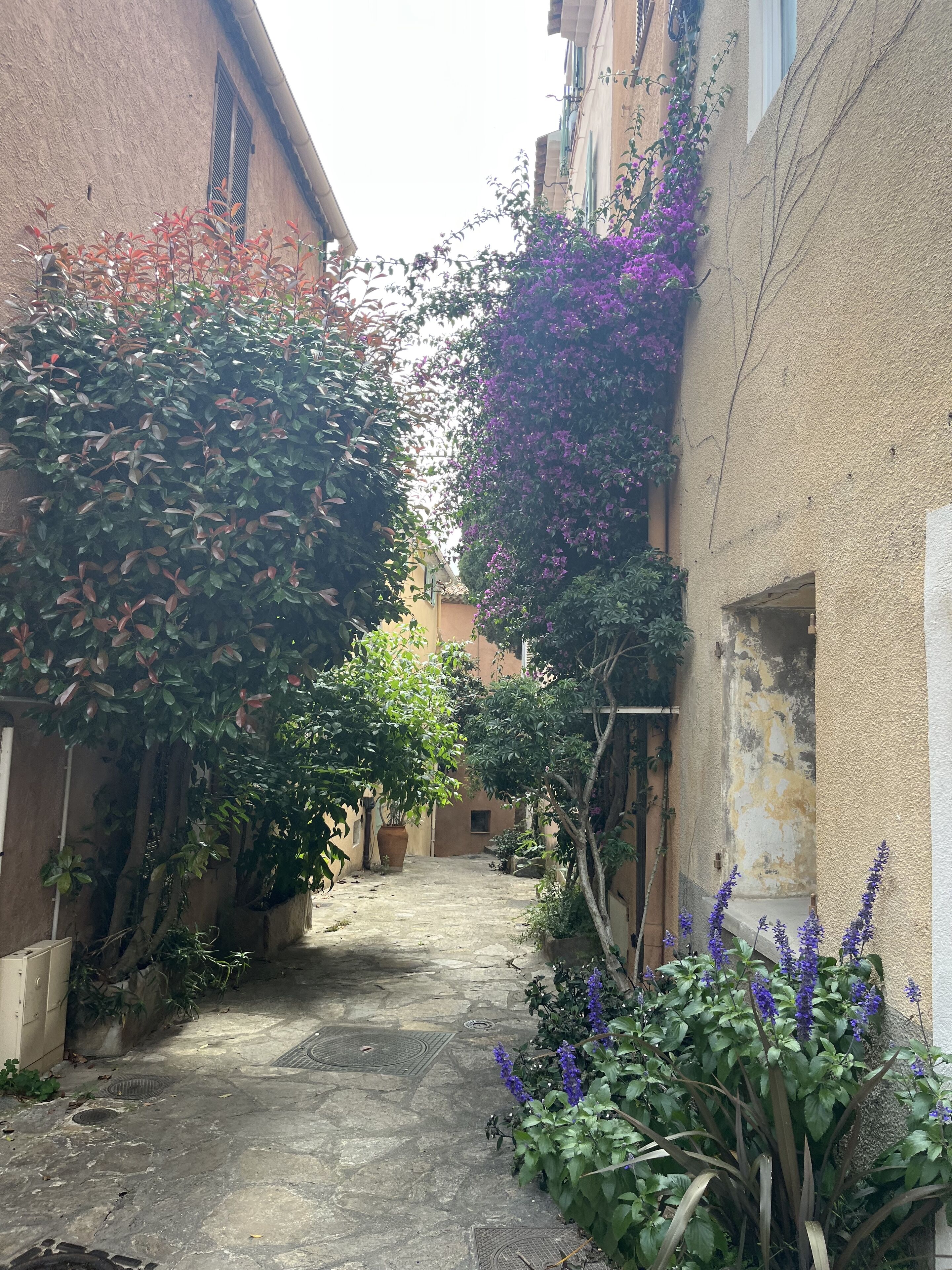 A narrow alleyway with buildings on either side, potted plants, and a small step leading to a higher level.