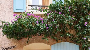 Un bâtiment avec une porte rose, une porte bleue et une enseigne sur laquelle on peut lire « Recommandé ».