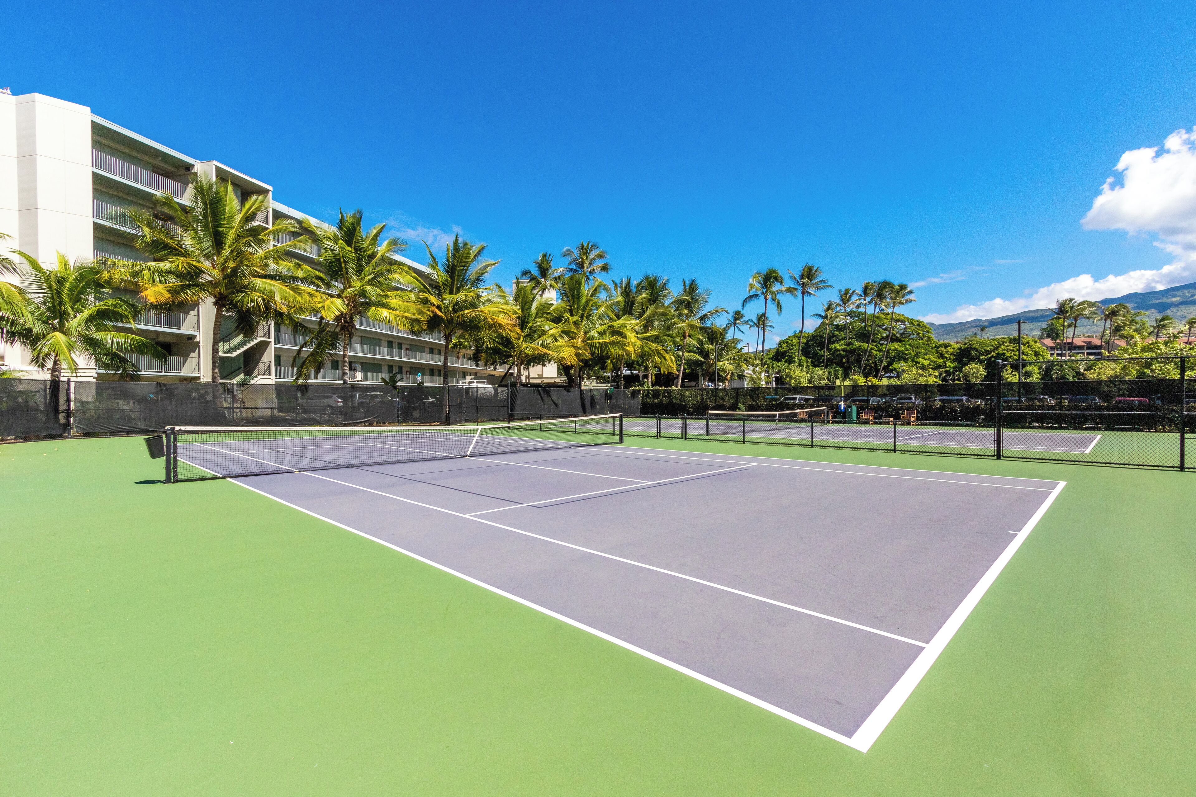 Cancha de tenis con red, rodeada de palmeras y un edificio.