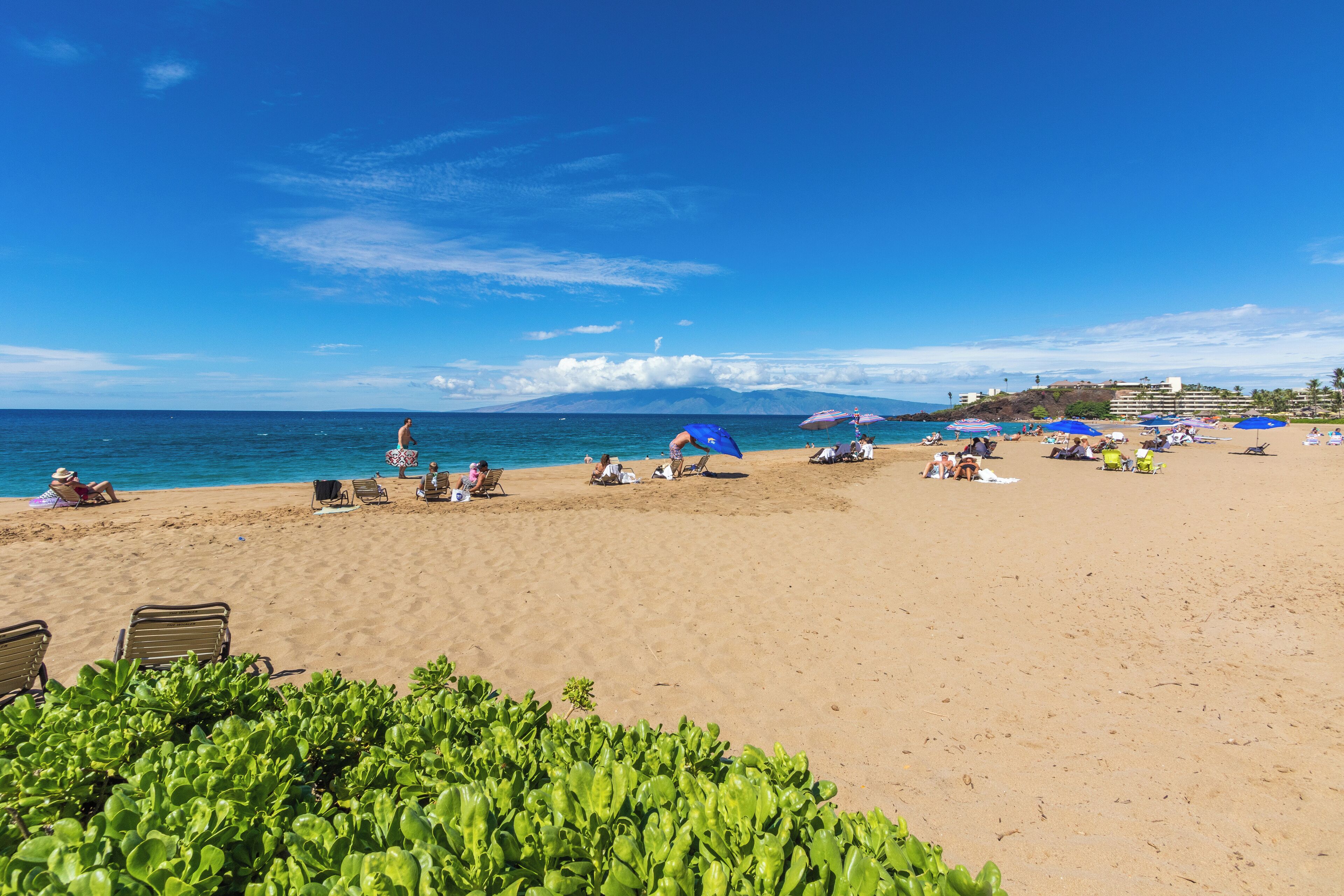 A beach with clear skies, people sunbathing, and umbrellas.