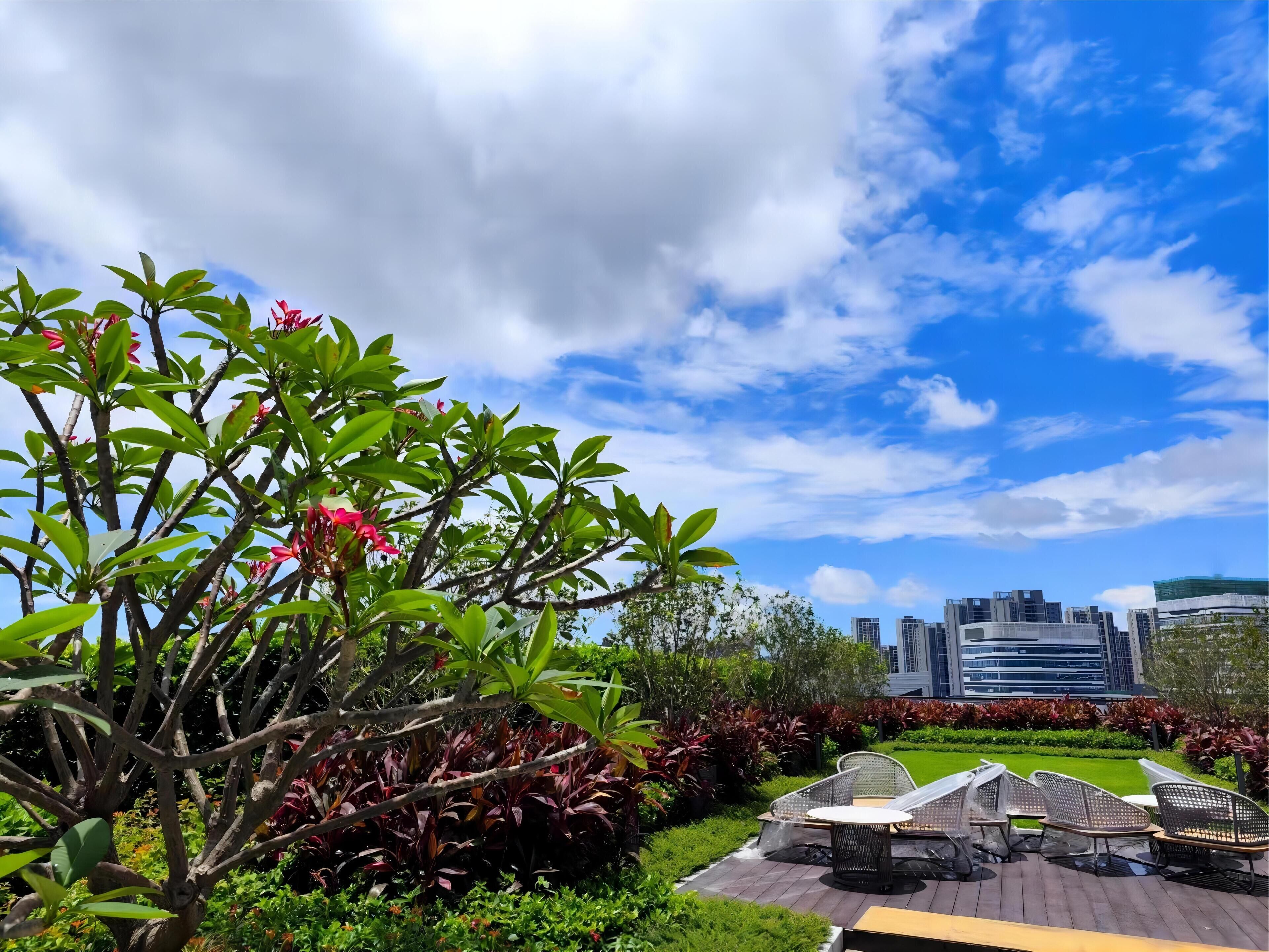 A garden with a patio area, green lawn, and modern buildings in the background.