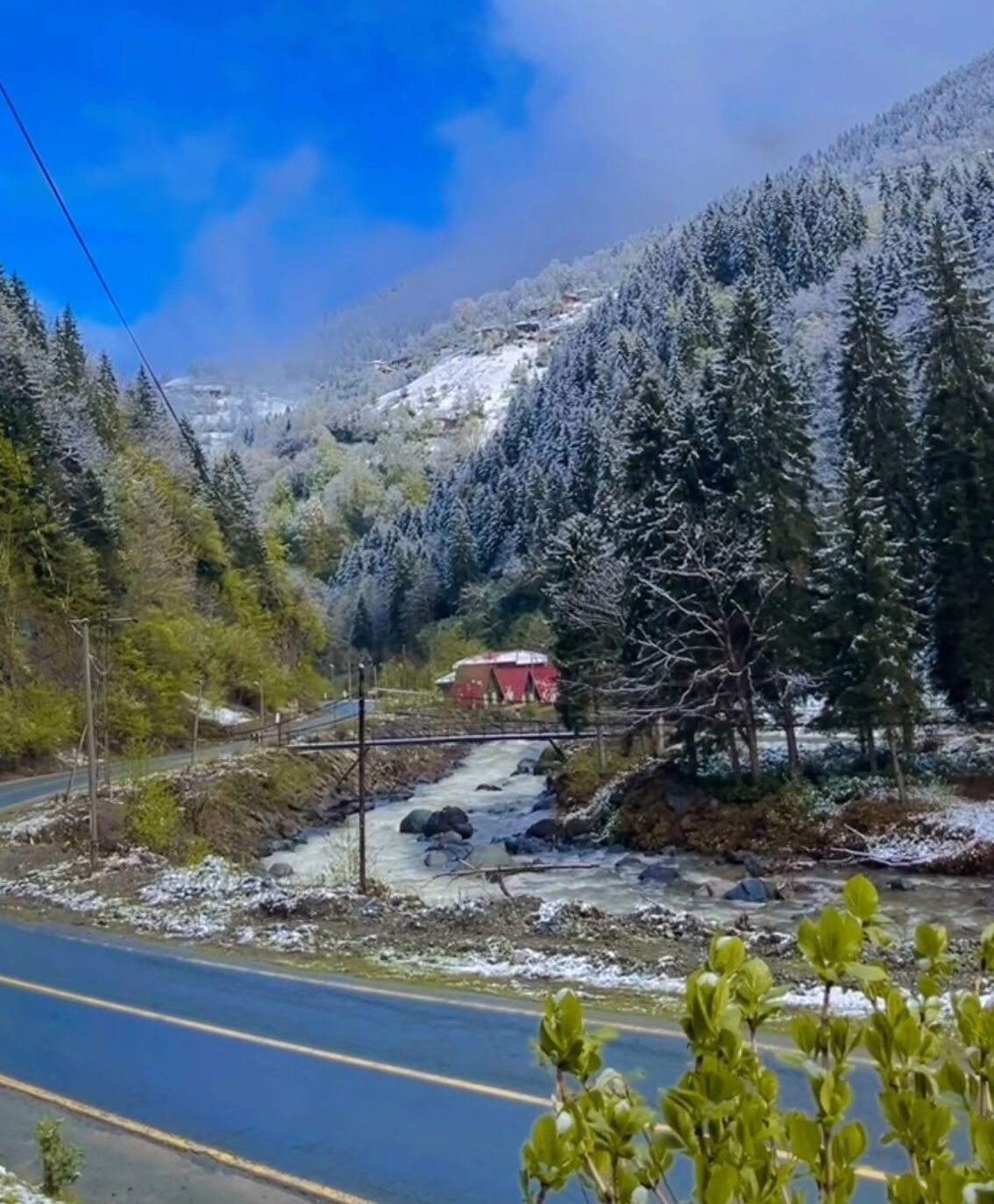 A road with a small bridge over a stream, surrounded by snow-covered trees and a red building in the distance.