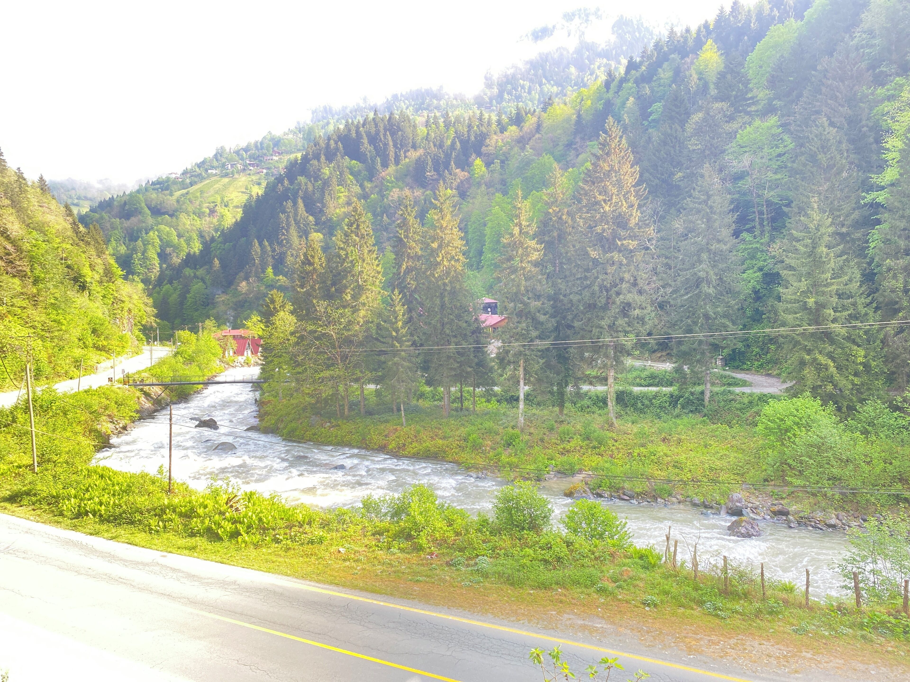 A road alongside a river with a bridge, surrounded by dense forest and a small building in the distance.