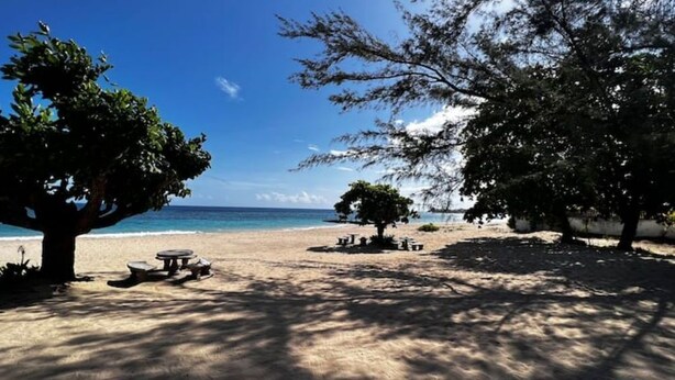 Uma praia com mesa e cadeiras sob uma árvore, céu claro e o oceano ao fundo.