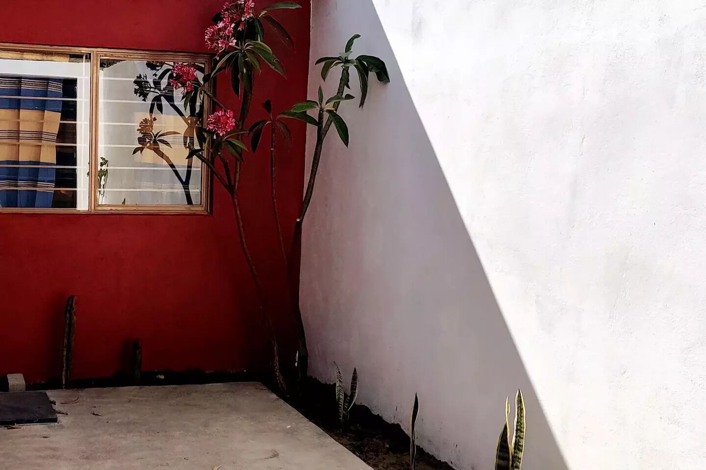 Área da propriedade