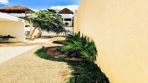 A narrow pathway flanked by palm trees and a building with a thatched roof. - AQUA GUESTHOUSE 5~ A+ INTERNET ~ STEPS TO THE BEACH (Puerto Morelos)