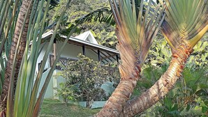 Una casa rodeada de exuberante vegetación tropical, con altas palmeras y diversas otras plantas.