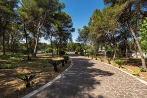 Parco della struttura