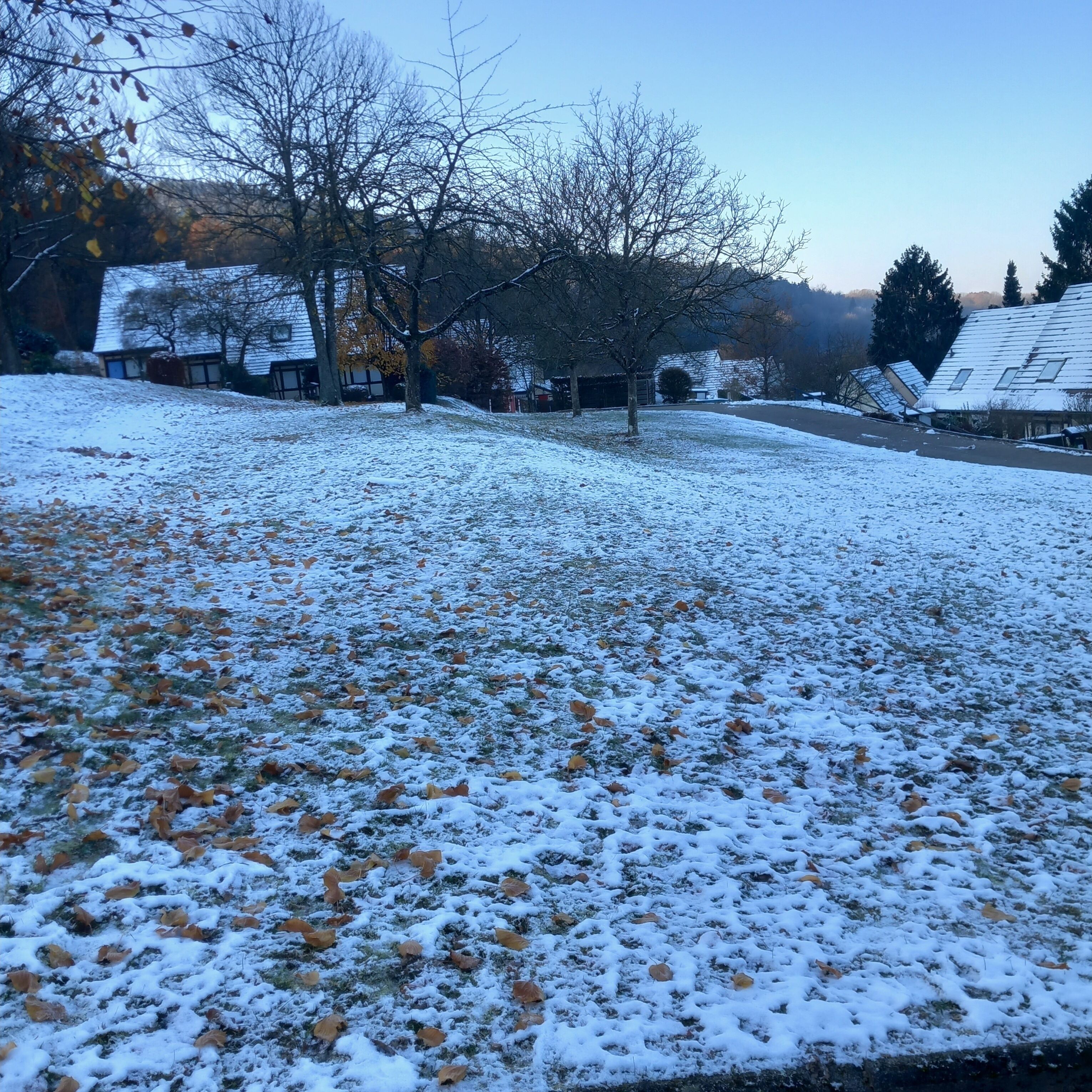 Un barrio residencial con suelo cubierto de nieve y árboles sin hojas.