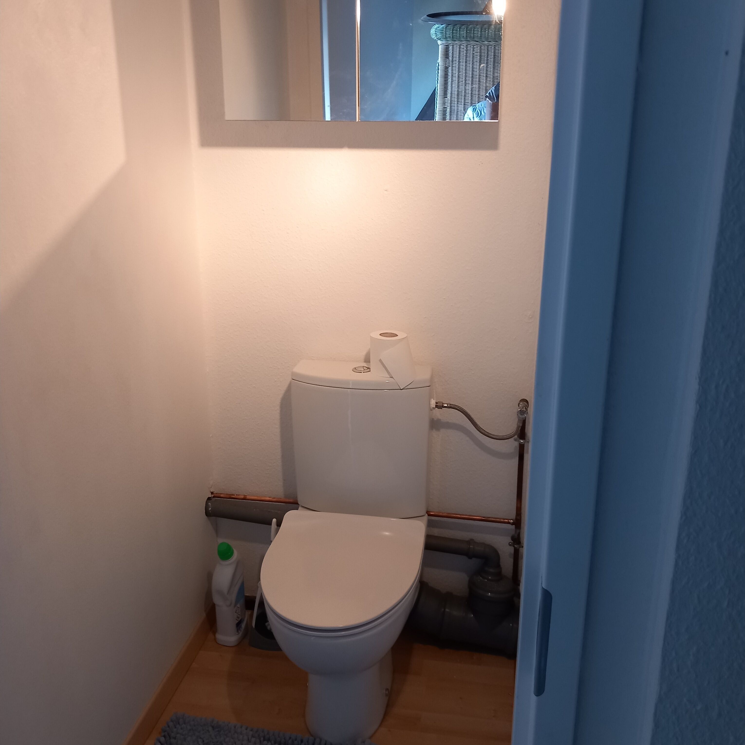 Ett litet badrum med en toalett, en toalettrullshållare och en handtork.