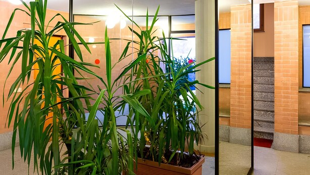 A modern interior with a glass partition, potted plants, and a brick wall. - Elegante alloggio di grandi dimensioni (110 mq) in parco privato di 6000 mq (Torino)