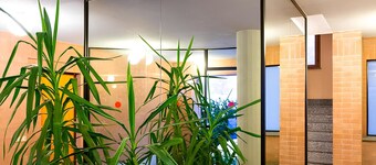 Elegante alloggio di grandi dimensioni (110 mq) in parco privato di 6000 mq