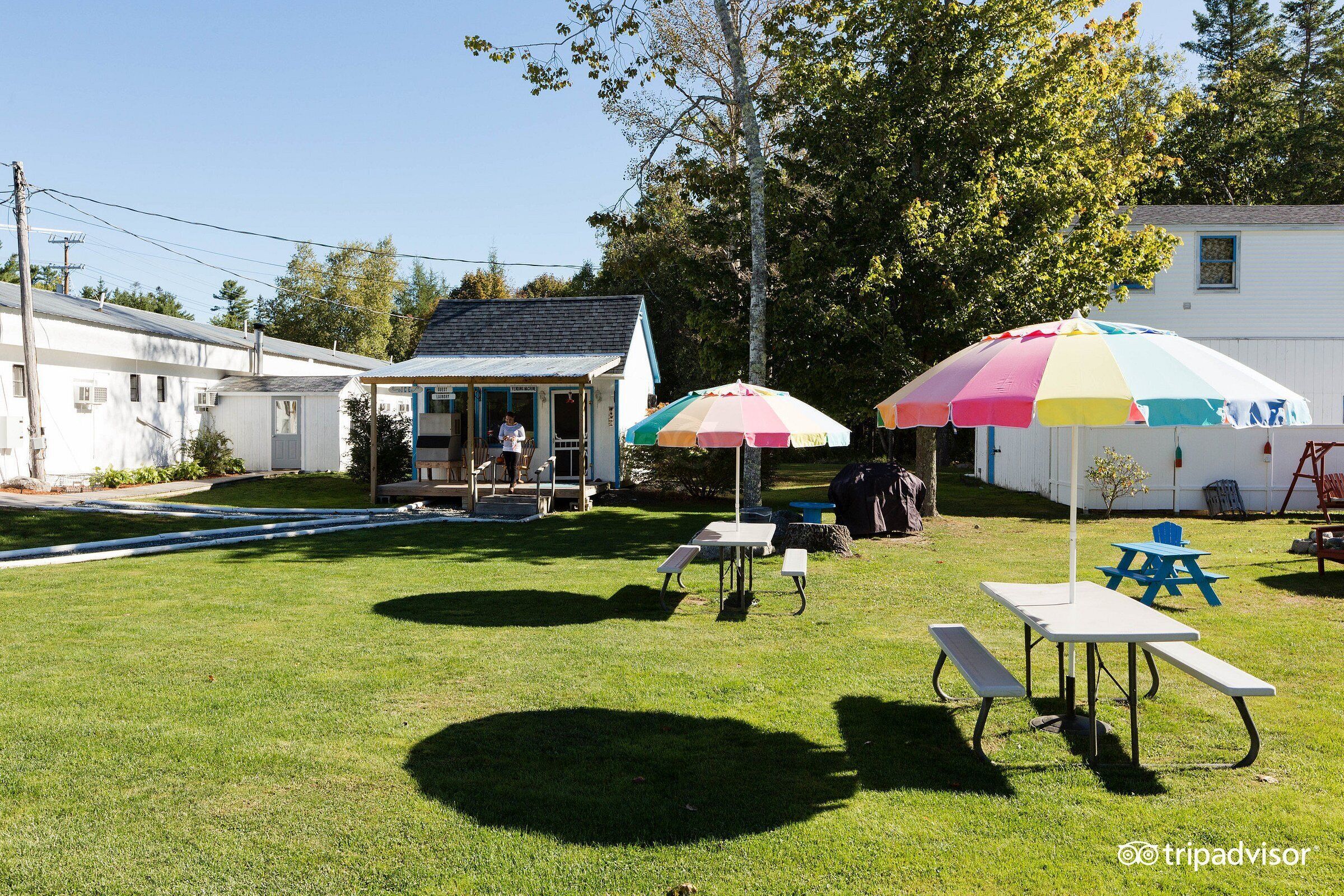 A backyard with a picnic table, two colorful umbrellas, and a small building.