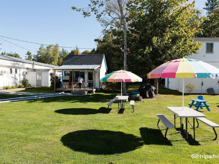 A backyard with a picnic table, two colorful umbrellas, and a small building.