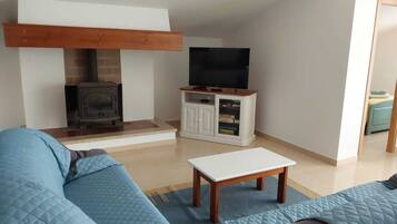 Smart TV, fireplace, books