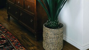 Un salon avec une commode en bois, un téléviseur fixé au mur et une grande plante dans un pot en osier.