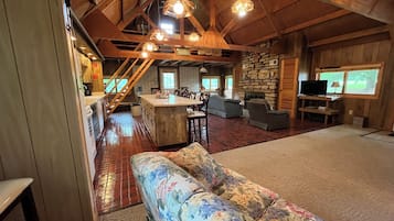 Smart TV, fireplace, DVD player, video library